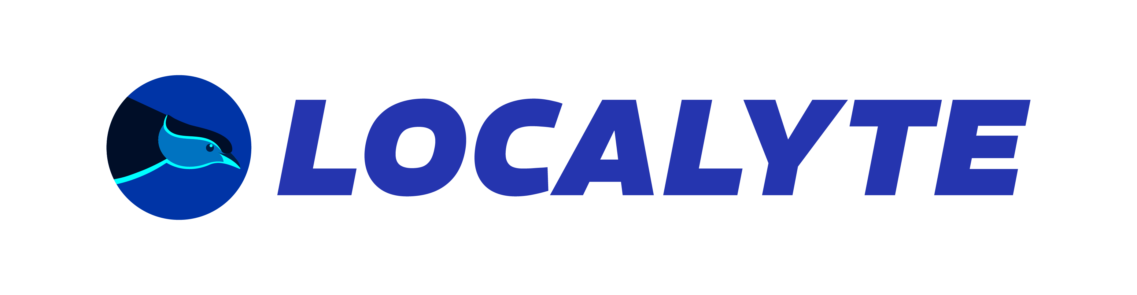 Localyte