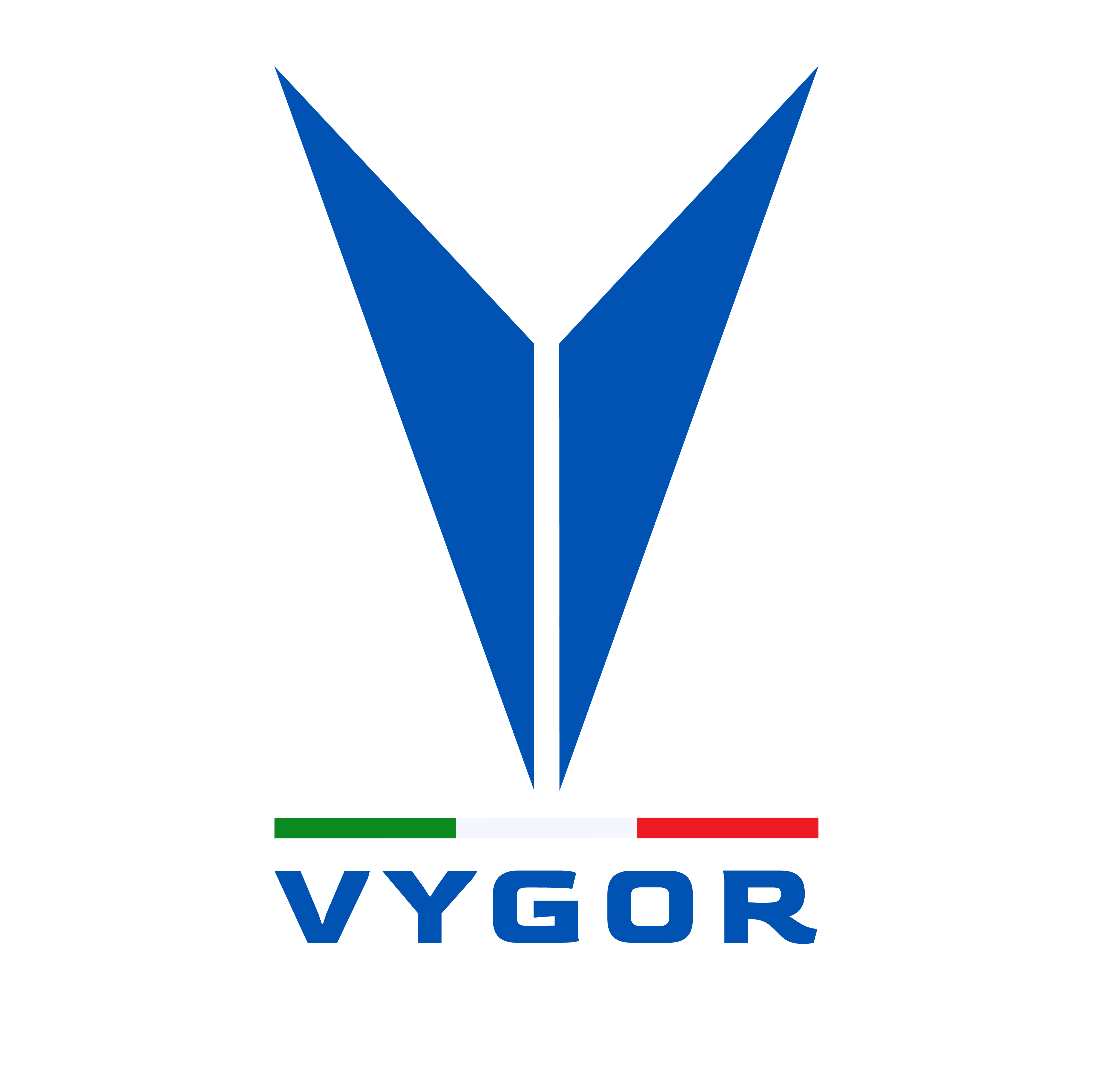 Vygor Motorsport